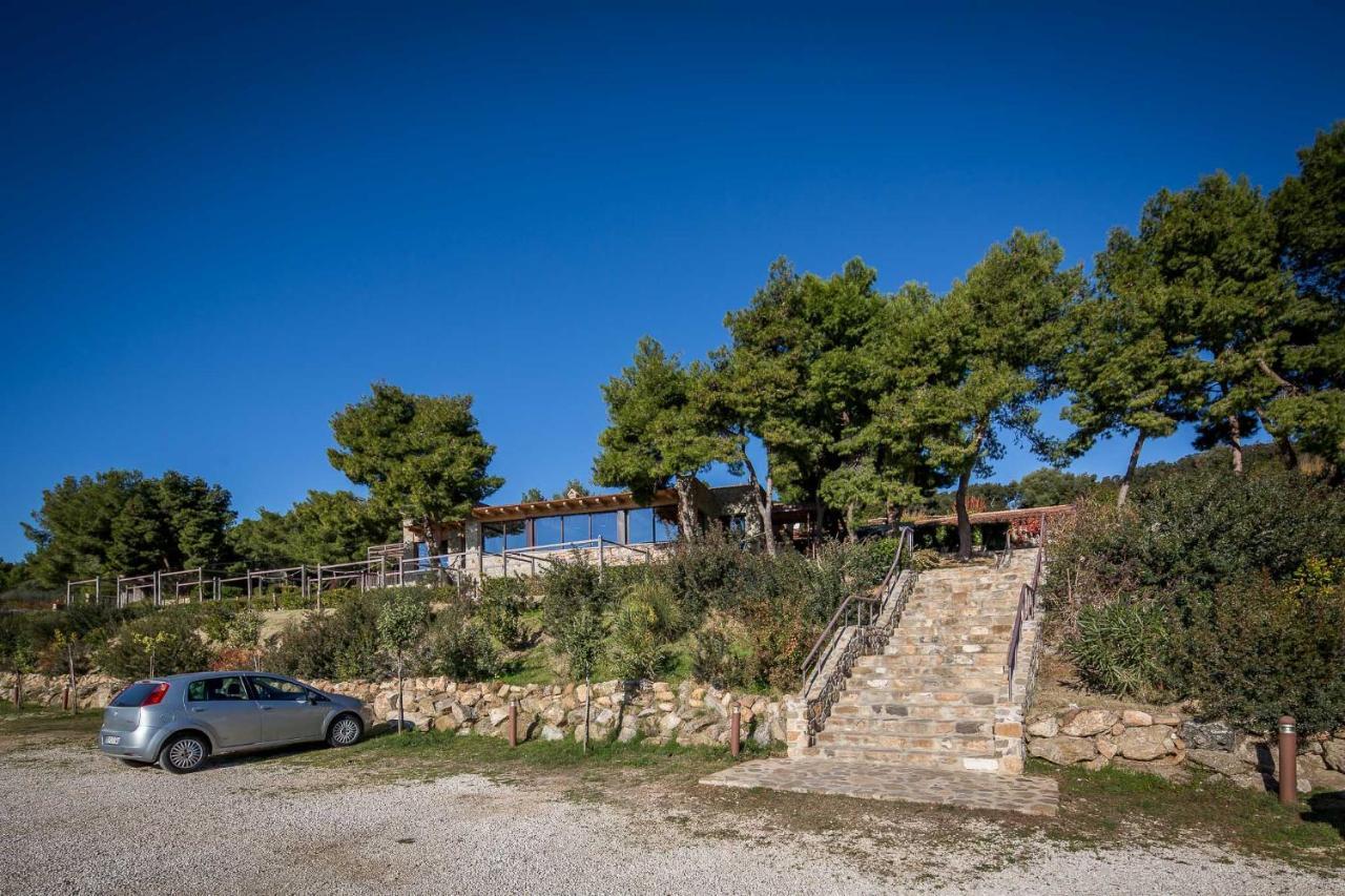 Masseria Agriturismo Torre Di Albidona Trebisacce Exterior foto